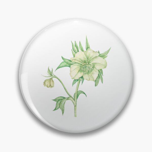Item preview, White hellebore Botanical designed and sold by IrinaAvdeeva.