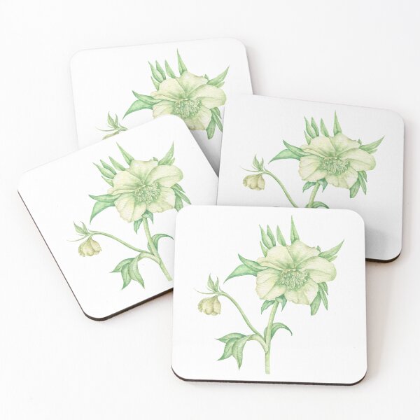 Item preview, White hellebore Botanical designed and sold by IrinaAvdeeva.