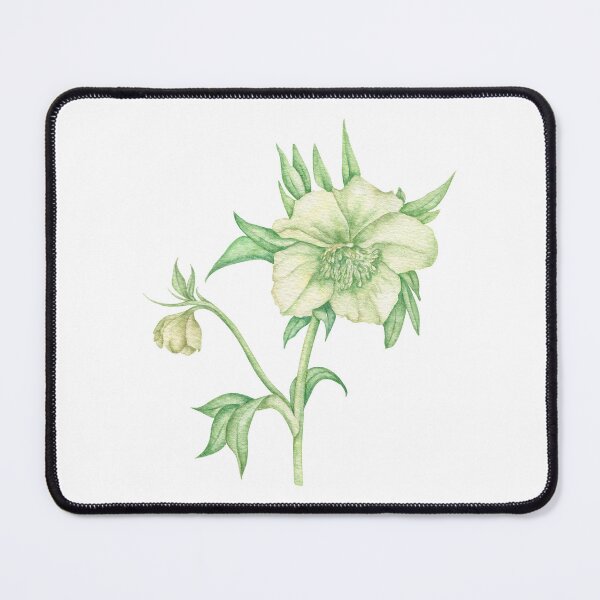Item preview, White hellebore Botanical designed and sold by IrinaAvdeeva.