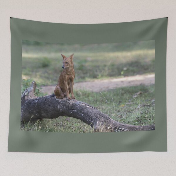Item preview, Dhole designed and sold by Puttaswamy Ravishankar.