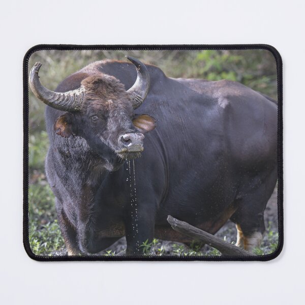 Item preview, Indian Bison designed and sold by Puttaswamy Ravishankar.