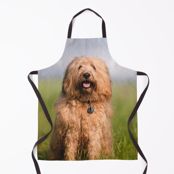 Item preview, Pablo the fluffy dog designed and sold by claudiacontena.