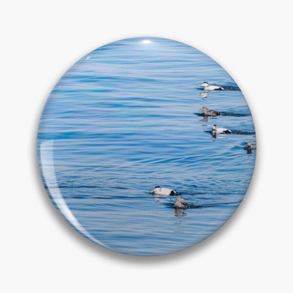 Item preview, Common eider couples designed and sold by ansaharju.