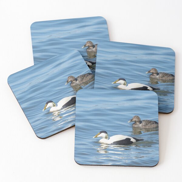 Item preview, Common eider couple designed and sold by ansaharju.