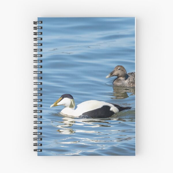 Item preview, Common eider couple designed and sold by ansaharju.