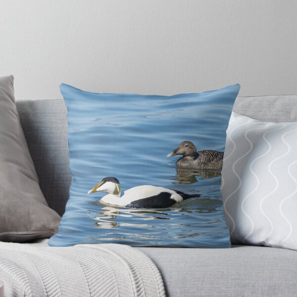 Item preview, Common eider couple designed and sold by ansaharju.