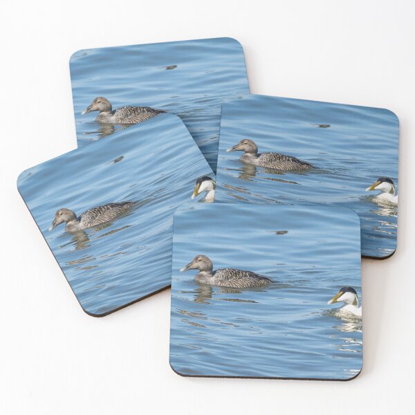 Item preview, Common eider couple designed and sold by ansaharju.