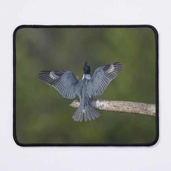 Item preview, Landing Patterns of a Belted kingfisher designed and sold by Puttaswamy Ravishankar.