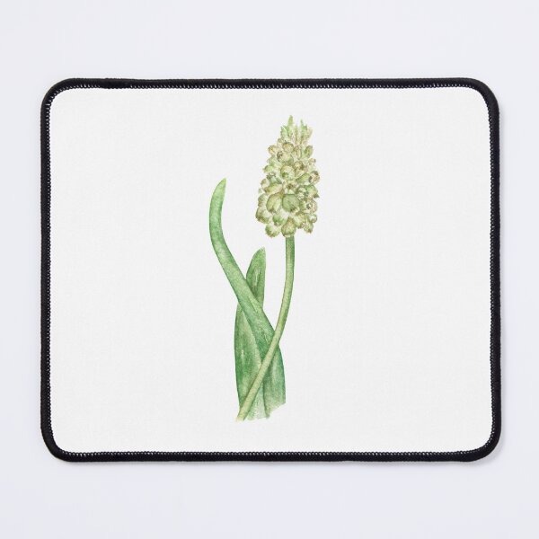 Item preview, Muscari flower designed and sold by IrinaAvdeeva.
