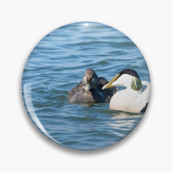 Item preview, Common eider couple designed and sold by ansaharju.