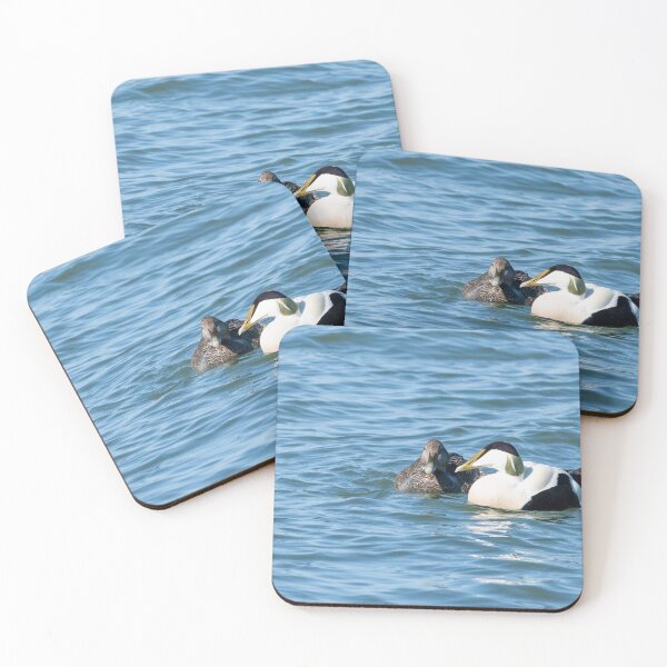 Item preview, Common eider couple designed and sold by ansaharju.