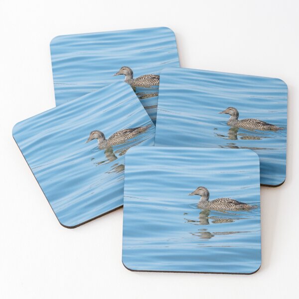 Item preview, Common eider female designed and sold by ansaharju.