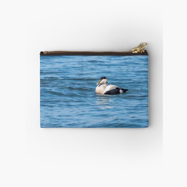 Item preview, Common eider male designed and sold by ansaharju.