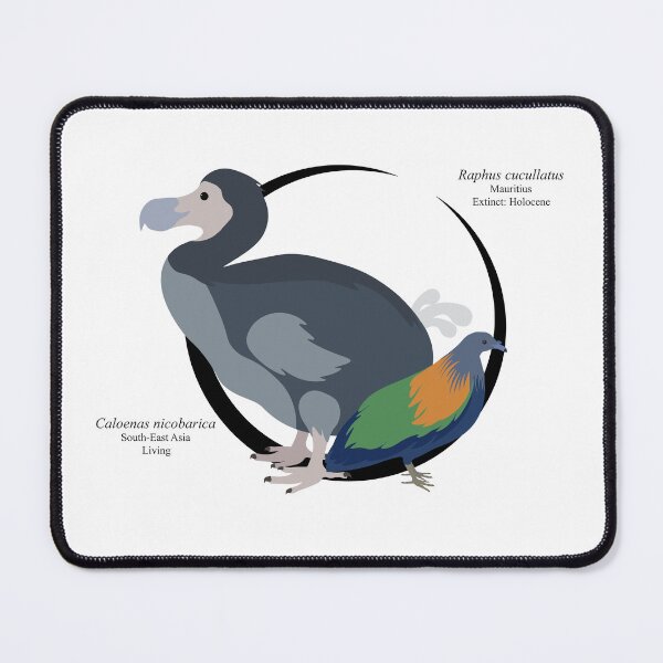 Item preview, Raphus cuccullatus and Caloenas nicobarica designed and sold by EpochBirding.