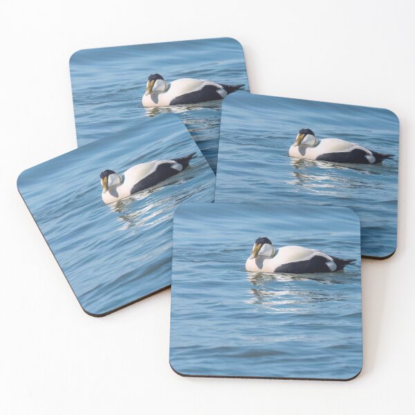 Item preview, Common eider male designed and sold by ansaharju.