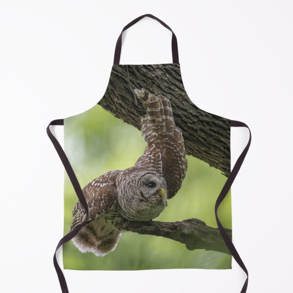 Item preview, Male Barred Owl Relaxing designed and sold by Puttaswamy Ravishankar.