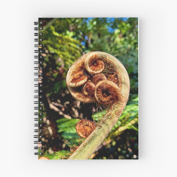 Item preview, Curly  designed and sold by Marius Brecher.