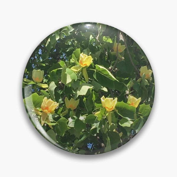 Item preview, Tulip Tree in Bloom designed and sold by jonnycrow.