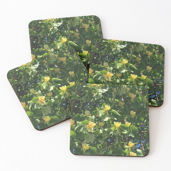 Item preview, Tulip Tree in Bloom designed and sold by jonnycrow.