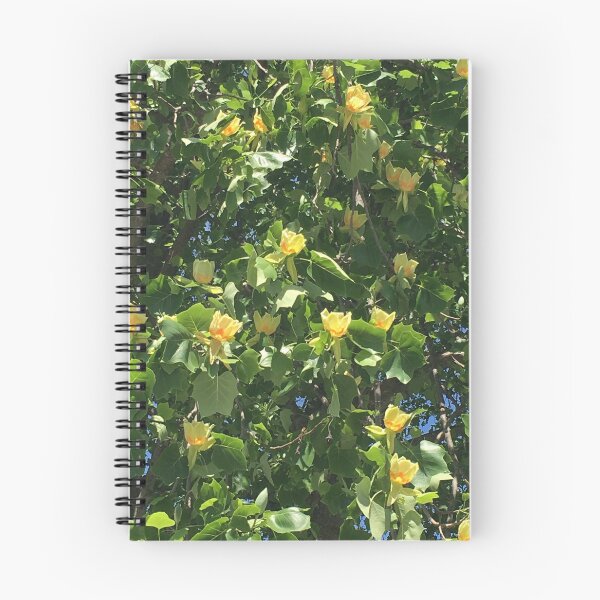 Item preview, Tulip Tree in Bloom designed and sold by jonnycrow.