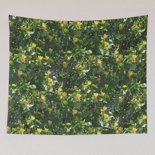 Item preview, Tulip Tree in Bloom designed and sold by jonnycrow.