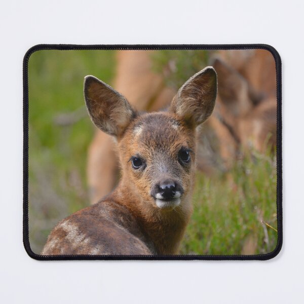 Item preview, Roe Deer Fawn  designed and sold by Isaac Moore.