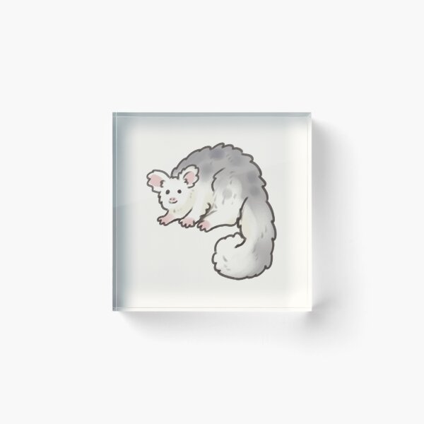 Item preview, Cute Greater Gliders art  designed and sold by Artofmayara.