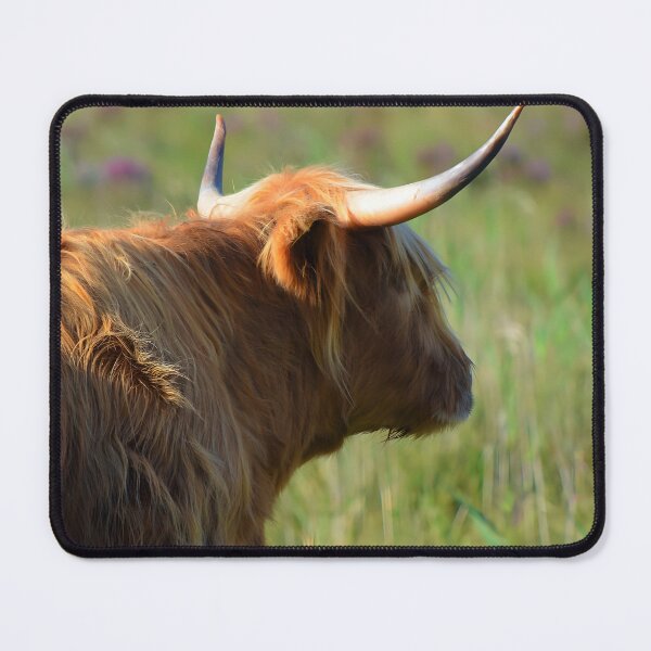 Item preview, Highland Cow designed and sold by Isaac Moore.