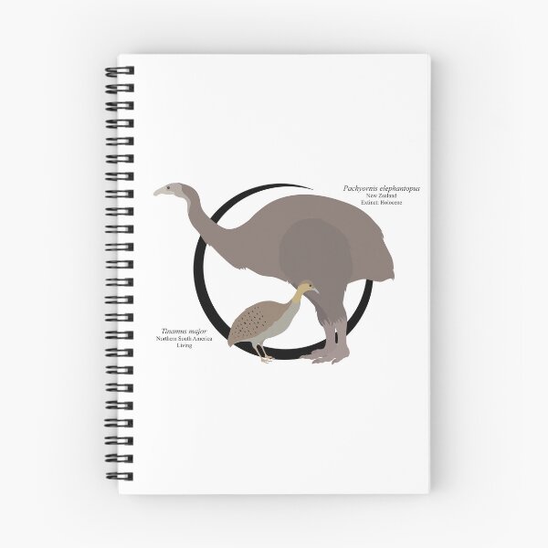 Item preview, Pachyornis elephantopus and Tinamus major designed and sold by EpochBirding.