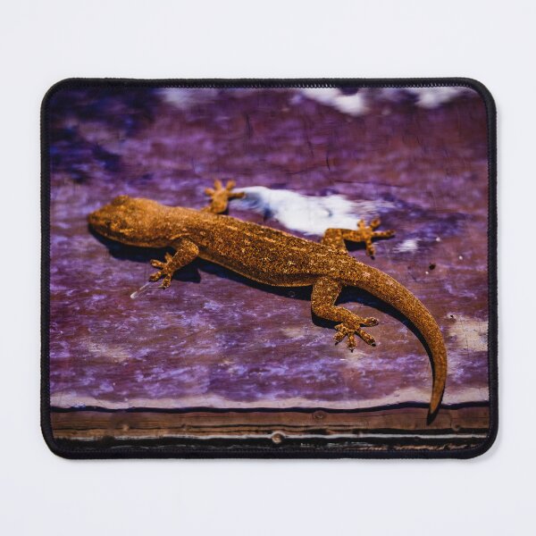 Item preview, Little Brown Gecko designed and sold by Geoff Treagus.