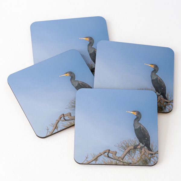 Item preview,  Black Cormorant designed and sold by TedmBinegas.
