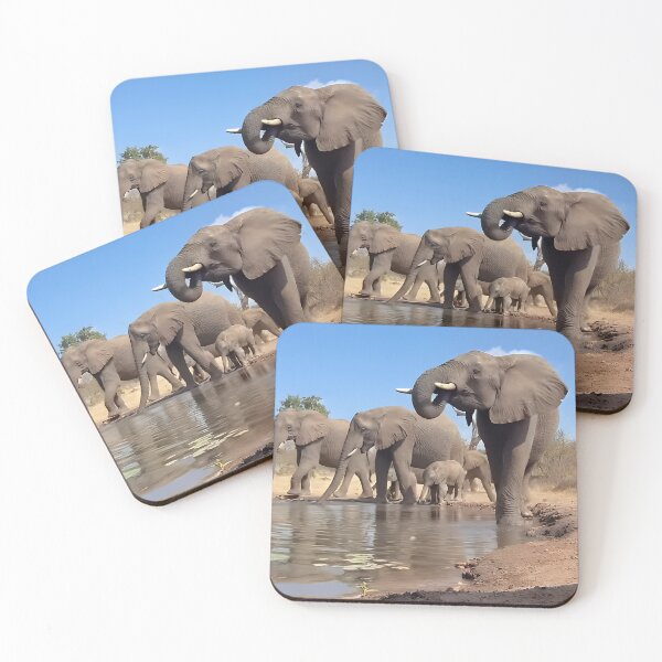 Item preview, A family outing designed and sold by BeNaturally24.