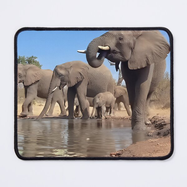 Item preview, A family outing designed and sold by BeNaturally24.