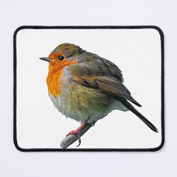 Item preview, Happy Robin designed and sold by Dalyndigital Photography.