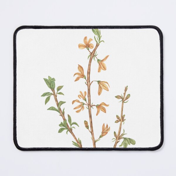 Item preview, Flowering branches of forsythia designed and sold by IrinaAvdeeva.