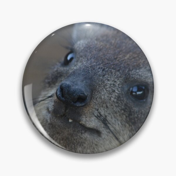 Item preview, Rock Hyrax designed and sold by RPMouton.
