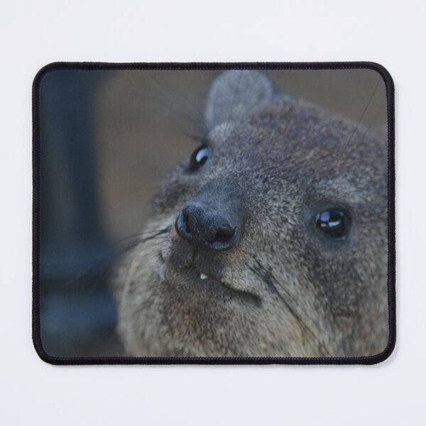 Item preview, Rock Hyrax designed and sold by RPMouton.