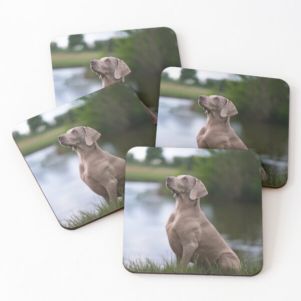 Item preview, Beautiful Weimaraner dog near the lake designed and sold by claudiacontena.
