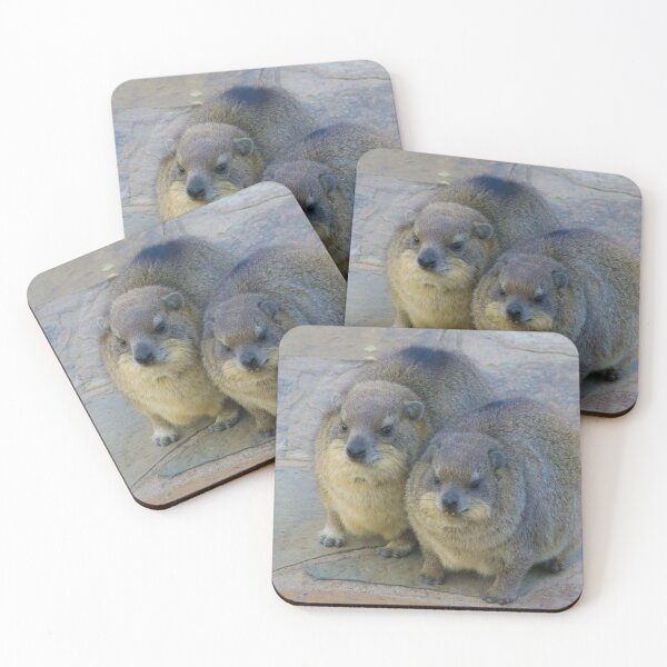 Item preview, Rock Hyrax Keeping Warm designed and sold by RPMouton.