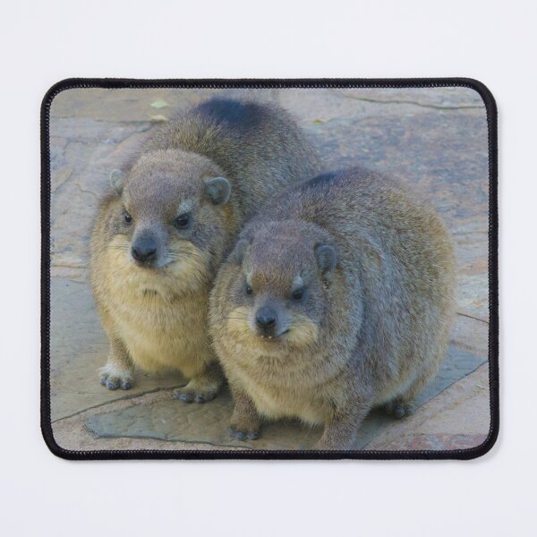 Item preview, Rock Hyrax Keeping Warm designed and sold by RPMouton.
