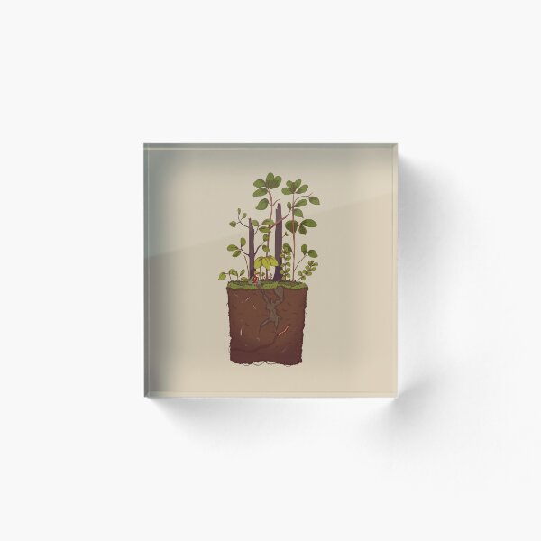 Item preview.