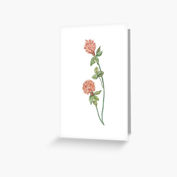 Item preview,  Meadow flowers - red clover designed and sold by IrinaAvdeeva.