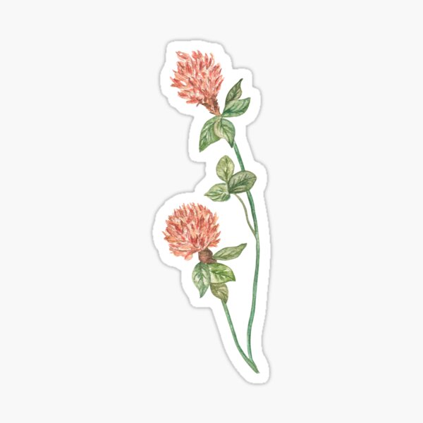 Item preview,  Meadow flowers - red clover designed and sold by IrinaAvdeeva.