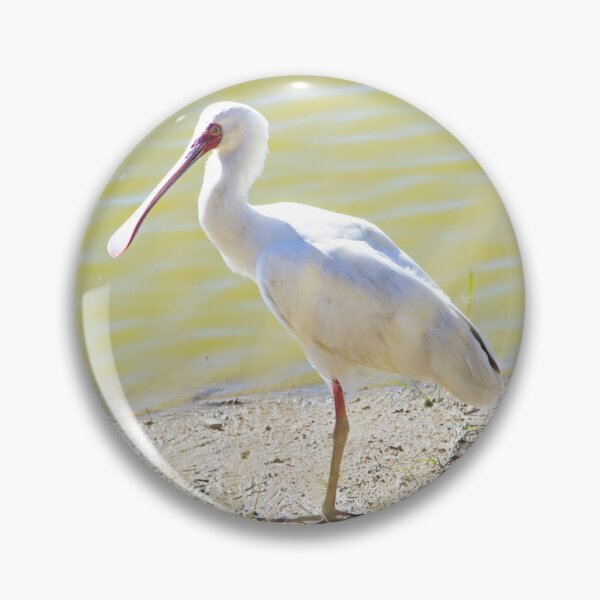 Item preview, Spoonbill Bird At The Dam designed and sold by RPMouton.