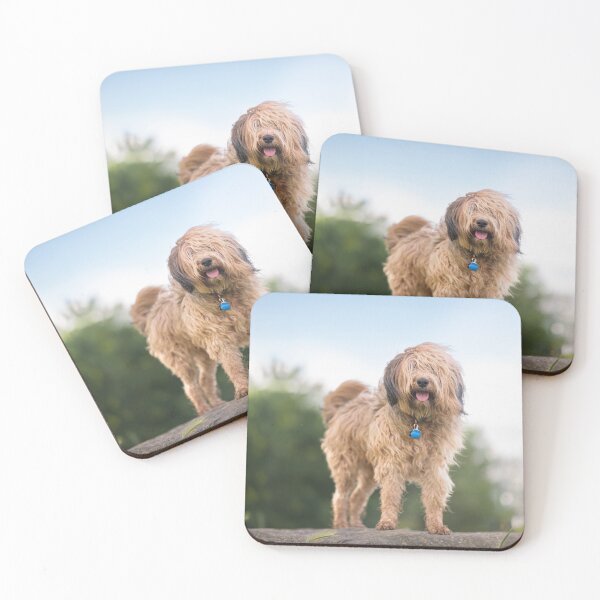 Item preview, Pablo the cute and fluffy golden dog designed and sold by claudiacontena.