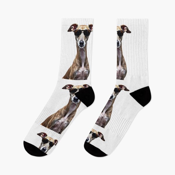 Item preview, Funny cool Italian Greyhound dog wearing sunglasses designed and sold by LazyOwlStore.