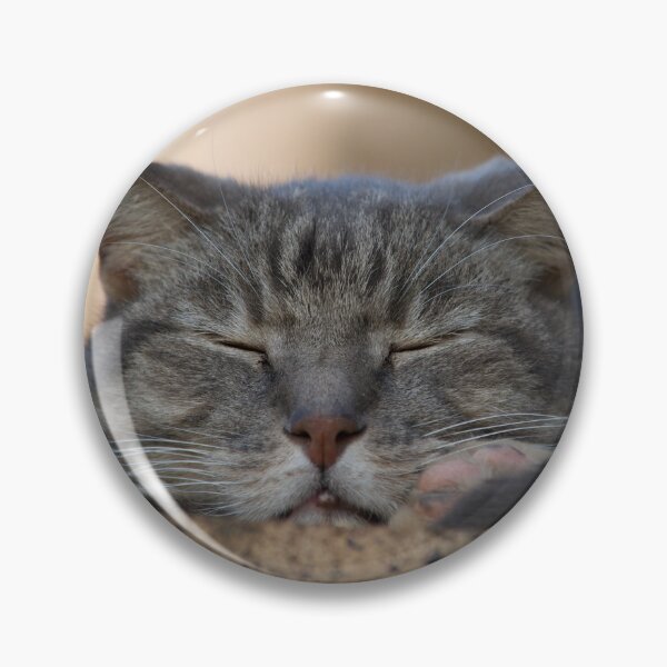 Item preview, Cat Sleeping designed and sold by RPMouton.