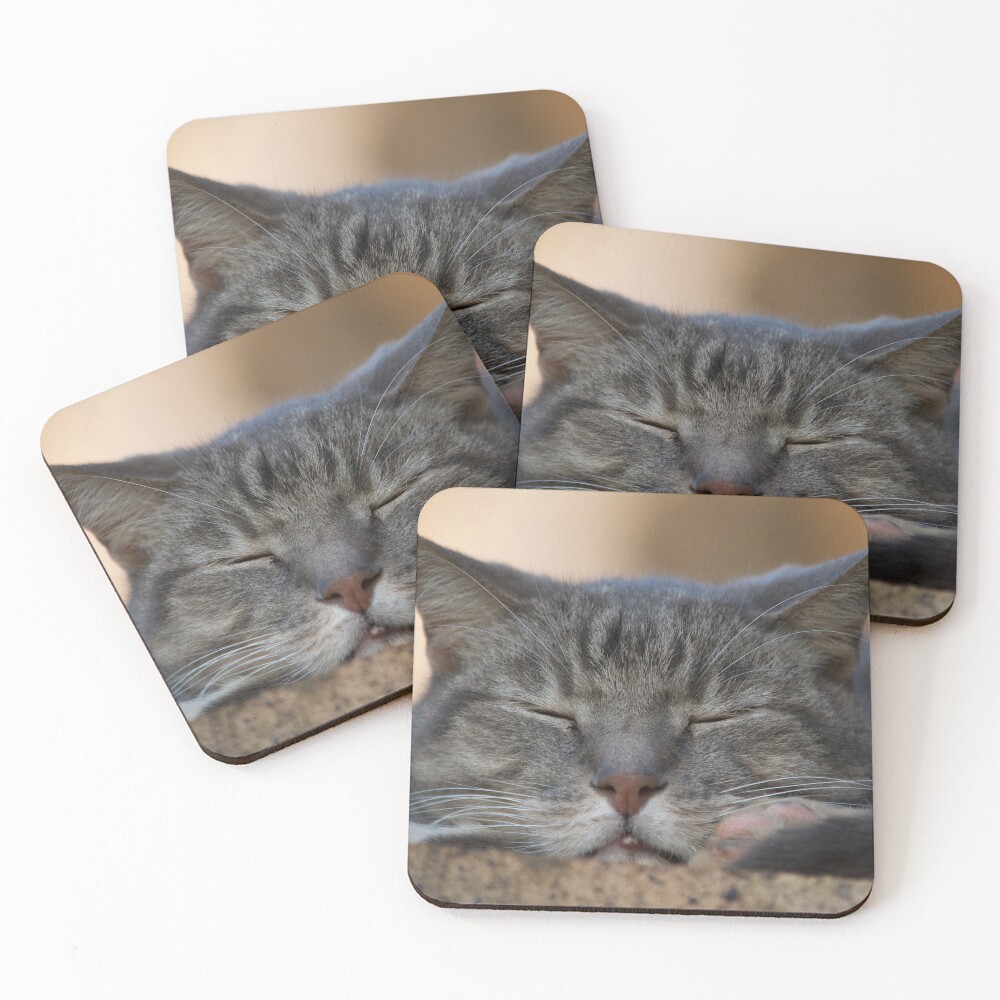 Item preview, Coasters (Set of 4) designed and sold by RPMouton.
