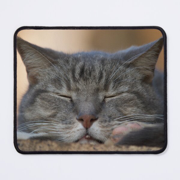 Item preview, Cat Sleeping designed and sold by RPMouton.
