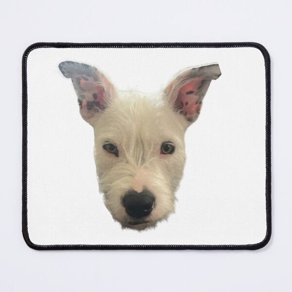 Item preview, Cattle Dog Head designed and sold by annmariek2018.